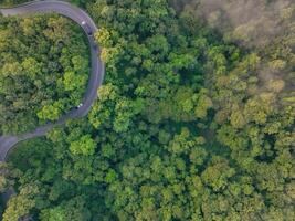 Aerial view of green forest and highway road with car and truck transport. Green trees and morning fog background for carbon neutrality and net zero emissions concept. Sustainable green environment. photo