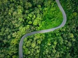 Aerial view of dense green trees in forest capture CO2 and curve highway road. Green trees background for carbon neutrality and net zero emissions concept. Sustainable green environment. Carbon credit photo