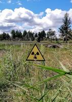Yellow radioactive warning sign in a field of tall grass sways slightly in the wind photo