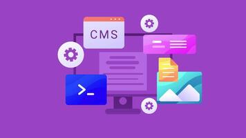 CMS Website Development Data Animation video