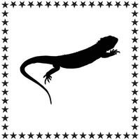 Lizard Silhouette illustration, Lizard Silhouette, Lizard Silhouette art on white background vector