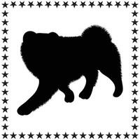 Dog Chow Chow Silhouette Chiweenie dog Silhouette art on white background Chiweenie dog Silhouette illustration, vector