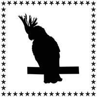 Cockatoo Silhouette illustration, Cockatoo Silhouette, Birds Silhouette art on white background vector