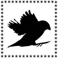 Bird Silhouette illustration, Bird Silhouette, Bird Silhouette art on white background vector
