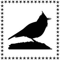 Bird Silhouette illustration, Bird Silhouette, Bird Silhouette art on white background vector