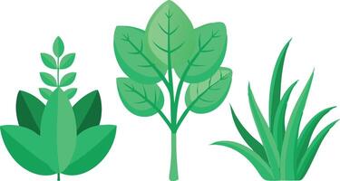 Three different types of green plants are shown in a row vector