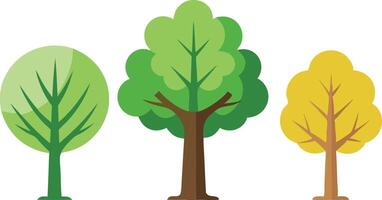 Three trees are shown in a row, with the middle one being the tallest vector