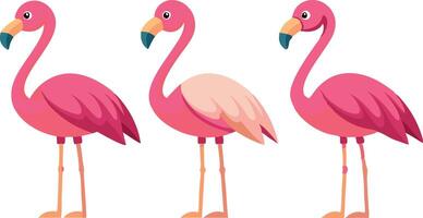 Three pink flamingos standing in a row vector