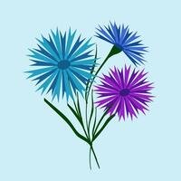 Bouquet of blue and purple field cornflowers. Beautiful flower with buds. illustration. Belarusian style. For design, print and postcards. vector
