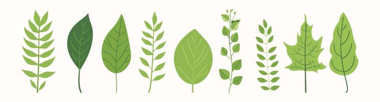 Tree collection hand drawn flat design element. botanical set of bare trees and ones with leaves and lush limited pastel color vector