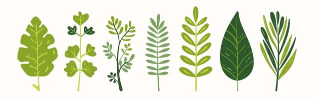 Tree collection hand drawn flat design element. botanical set of bare trees and ones with leaves and lush limited pastel color vector