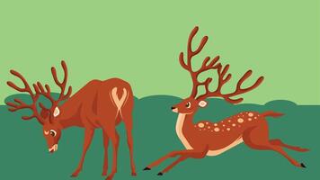 Cartoon forest animals for coloring books and children stories vector