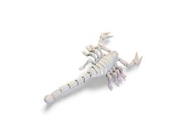 Decorated miniature white scorpion animal on a white background photo