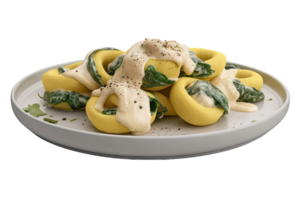 Tortelloni with Spinach and Cream Sauce png
