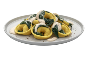 Tortelloni with Spinach and Cream Sauce png