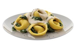 Tortelloni with Spinach and Cream Sauce png