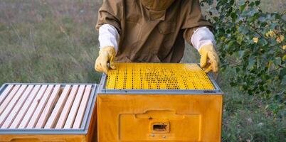 A beekeeper, a woman in a protective suit against bee stings, installs a separation grate in the hive. Beekeeping, care of the hive photo