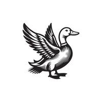 duck silhouettes, Lake Ducks Silhouette, Duck silhouettes, duck collection, various poses, black isolated figures vector