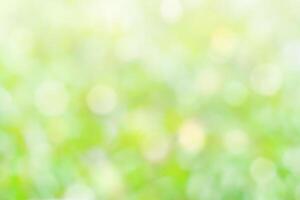 Abstract view of natural blurred summer background of green foliage illuminated by sunlight photo