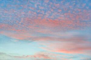 Orange cirrocumulus clouds in azure sky photo