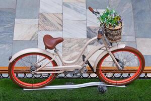Installation from a bike in vintage style with flowers in basket photo