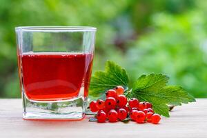 A glass with red currant juice and a branch of berries with leaves on a wooden table on a background of green garden in bokeh with copy space photo