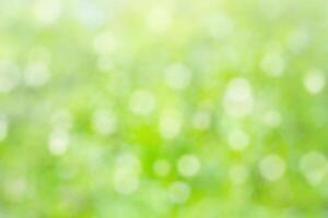 Natural blurred summer green background with bokeh photo