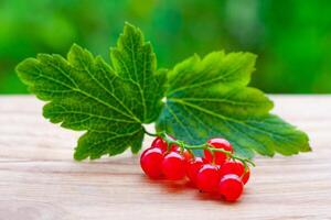 Close up view on a branch of red currant with leaves on a wooden table on a background of green garden in blur photo