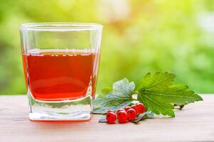 A glass with red currant juice and a branch of berries with leaves on a wooden table, illuminated by sunlight, on a background of green garden in blur with copy space photo