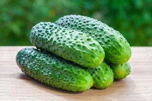 Close up view on a pile of fresh cucumbers on a wooden table on a background of green garden in bokeh photo