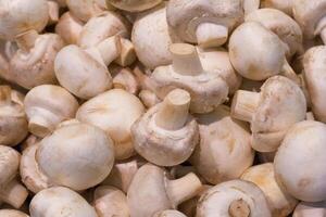 A pile of champignon mushrooms in the store as background, texture photo
