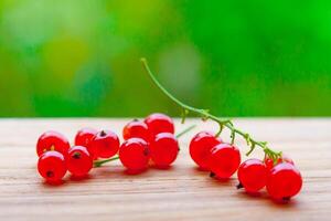 Close up view on a branch of red currant on a wooden table on a background of green bushes in bokeh with copy space photo