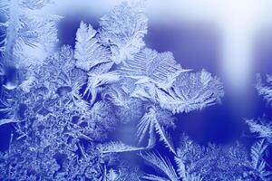 Frosty pattern on the glass window. Abstract, background, texture photo