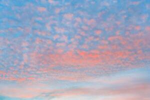 Bright orange cirrocumulus clouds on a background of azure sky photo