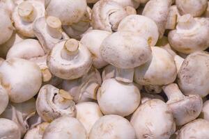 Champignon mushrooms on the counter in the supermarket photo
