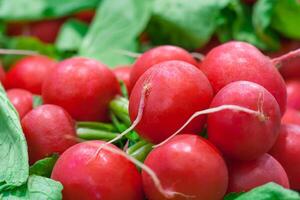 Close up view of a bunches of radishes in the store photo