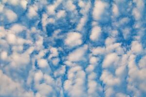 Cirrocumulus clouds as background, texture photo