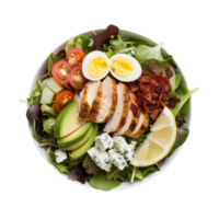 Isolated salad plate png