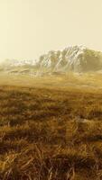 Plain with dried grass and mountain peaks in the background video