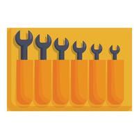Set of wrenches organized in a toolbox for mechanics vector