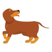 Brown dachshund walking with tongue out illustration vector