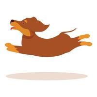 Happy brown dachshund jumping and running with tongue out vector