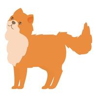 Curious ginger cat looking up standing on white background vector