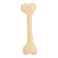 Single long bone standing up on white background vector