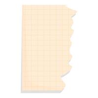 Blank ripped squared notebook paper corner with shadow vector