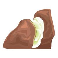 Brown bean is revealing its green inside vector