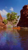 Reflection in Colorado River of Butte catching days last rays, in Grand Canyon. video