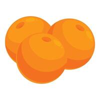 Three ripe oranges lying together on white background vector