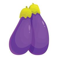 Two shiny eggplants standing up on white background vector