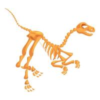 Velociraptor skeleton running with long tail and sharp teeth vector